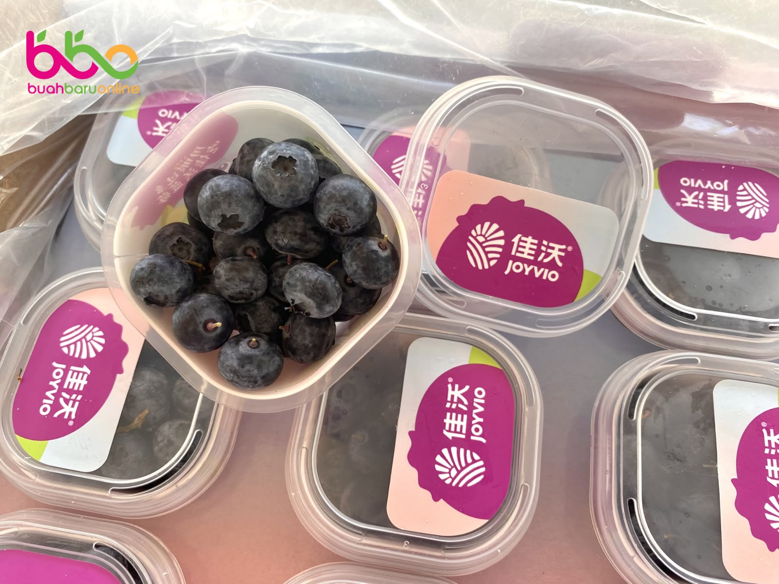 Blueberry Joyvio