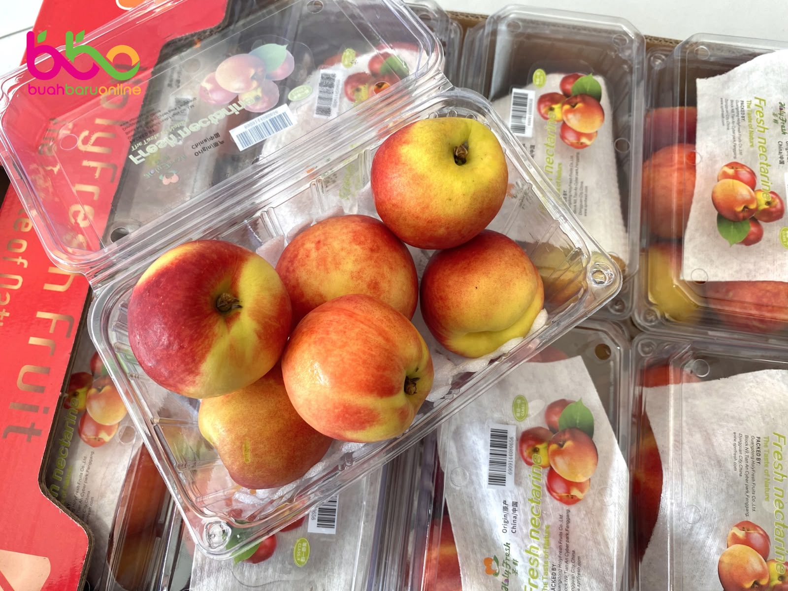 NECTARINE RED GOLD CHINA