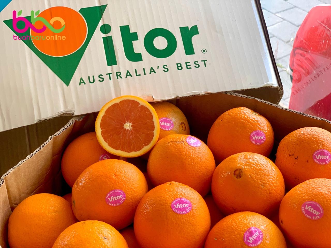 Jeruk Sunkist Cara Cara Australia VITOR