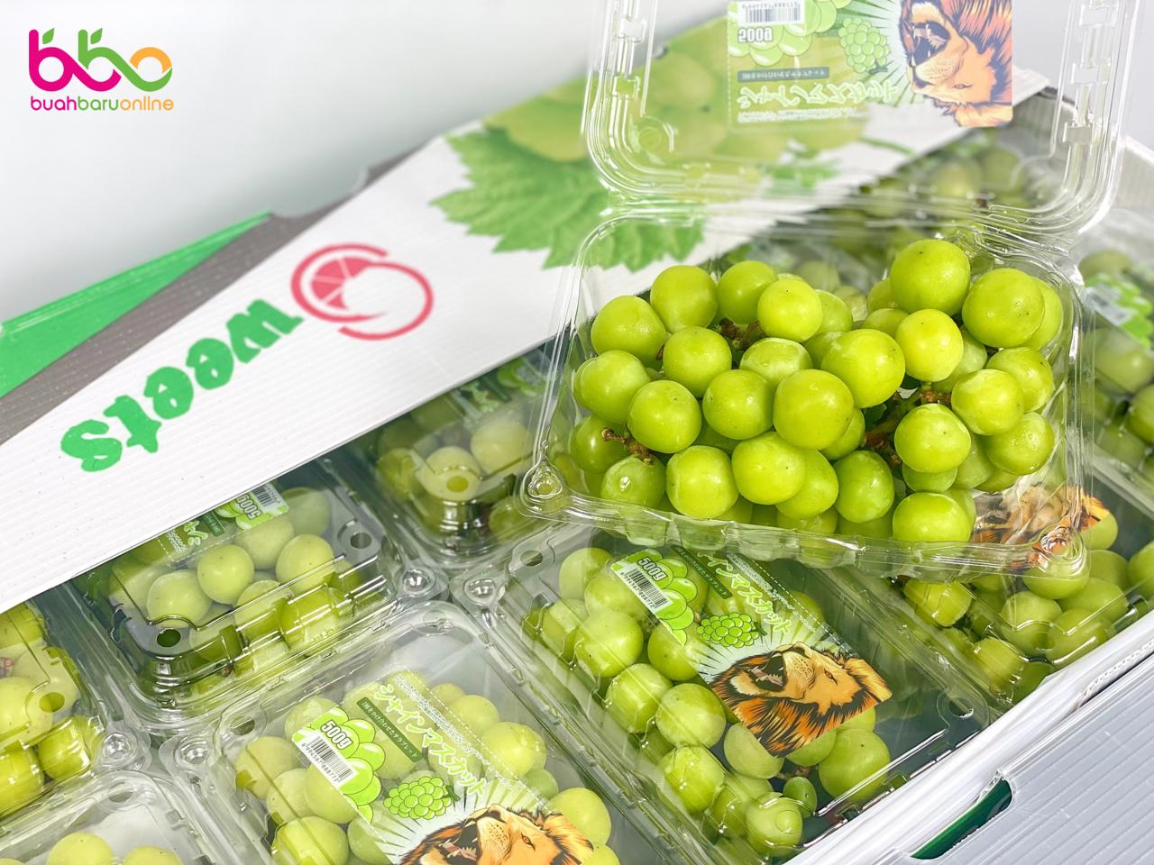 Anggur GREEN SHINE MUSCAT