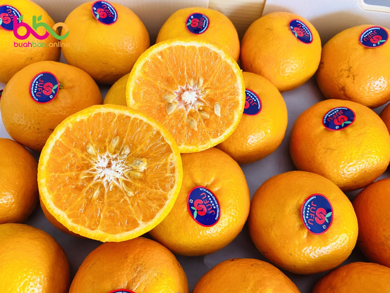 Jeruk WOGAN Mandarin 