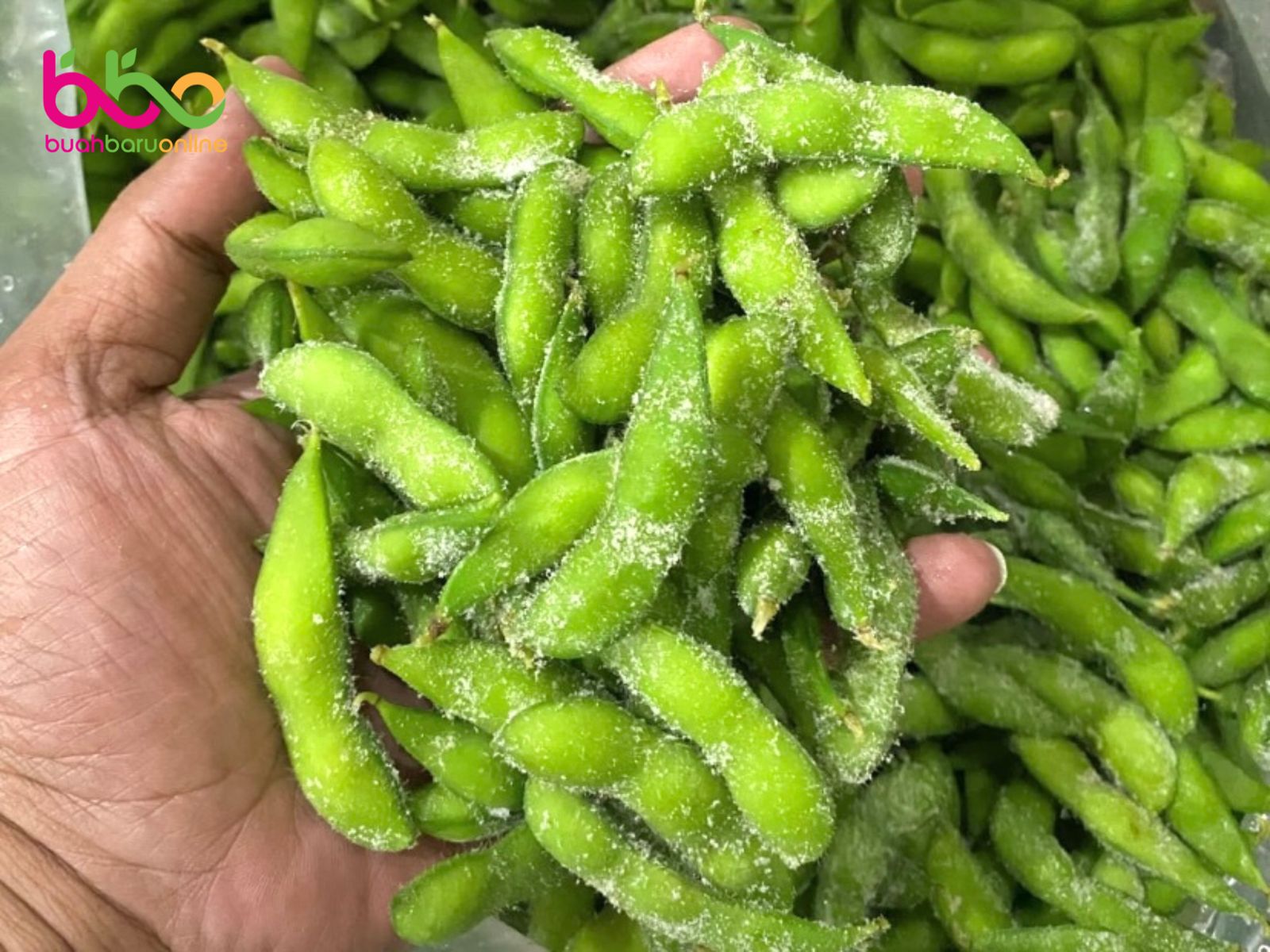 EDAMAME LOKAL