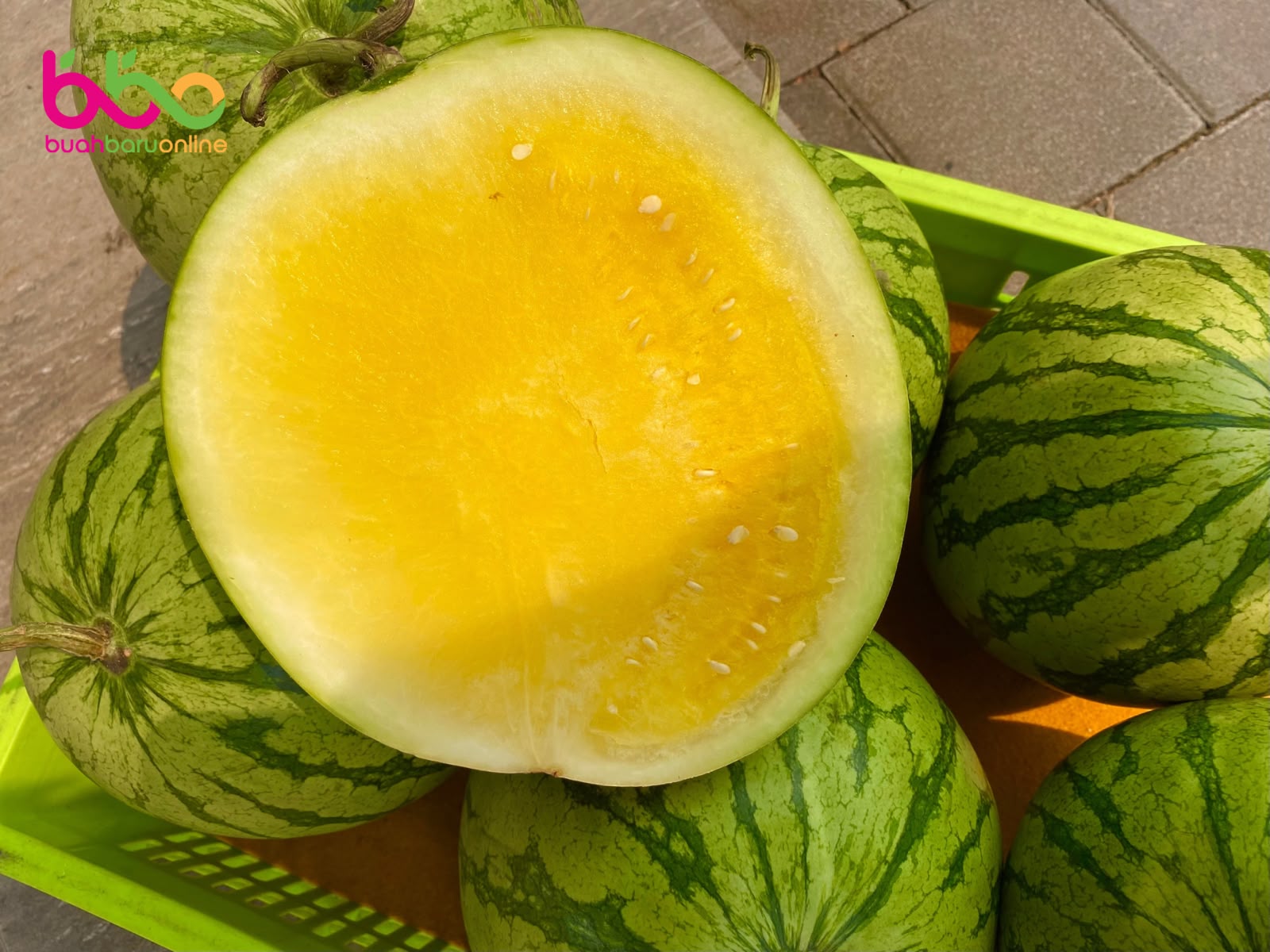 Semangka Kuning