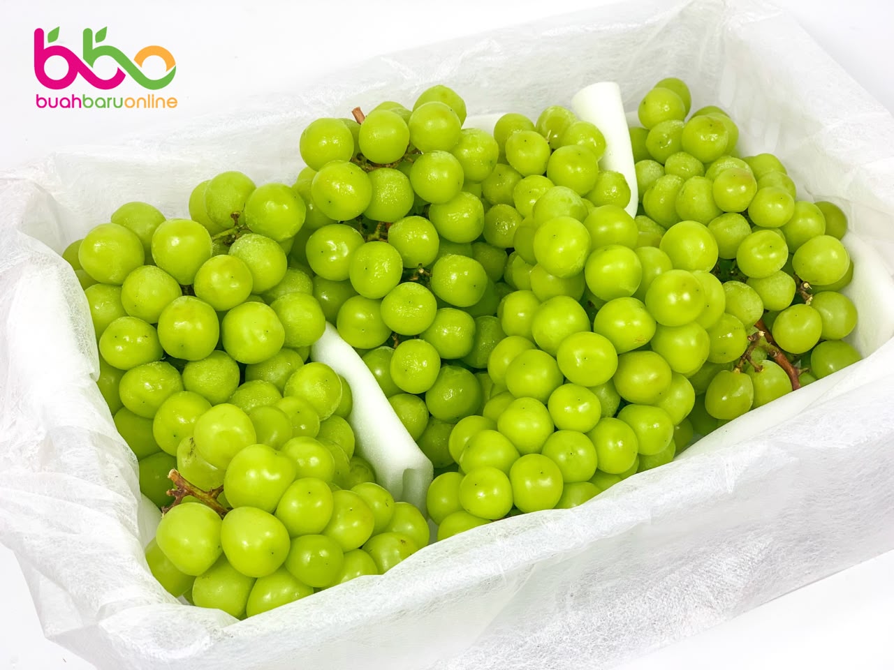 Anggur GREEN SHINE MUSCAT