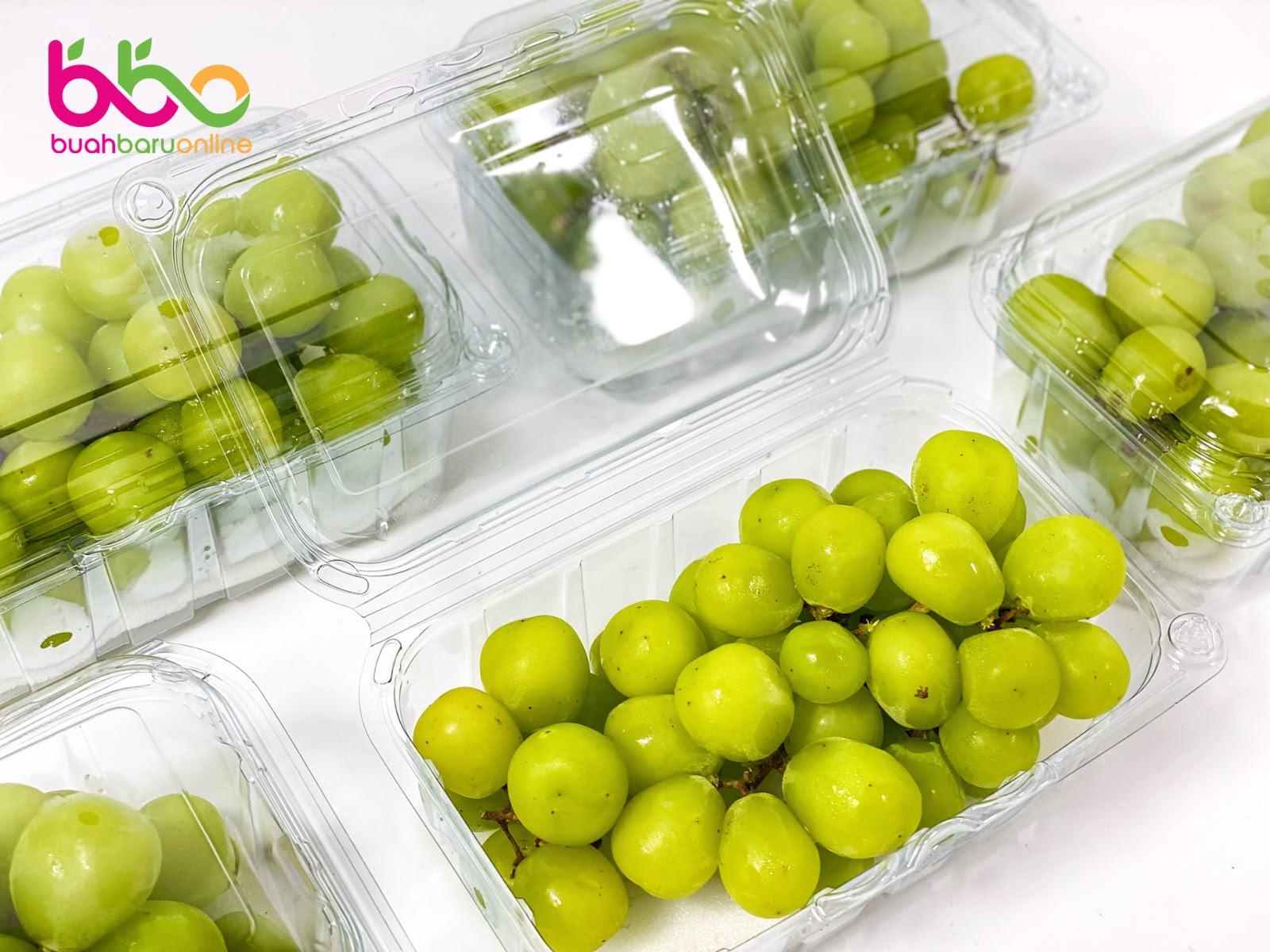 Anggur GREEN SHINE MUSCAT
