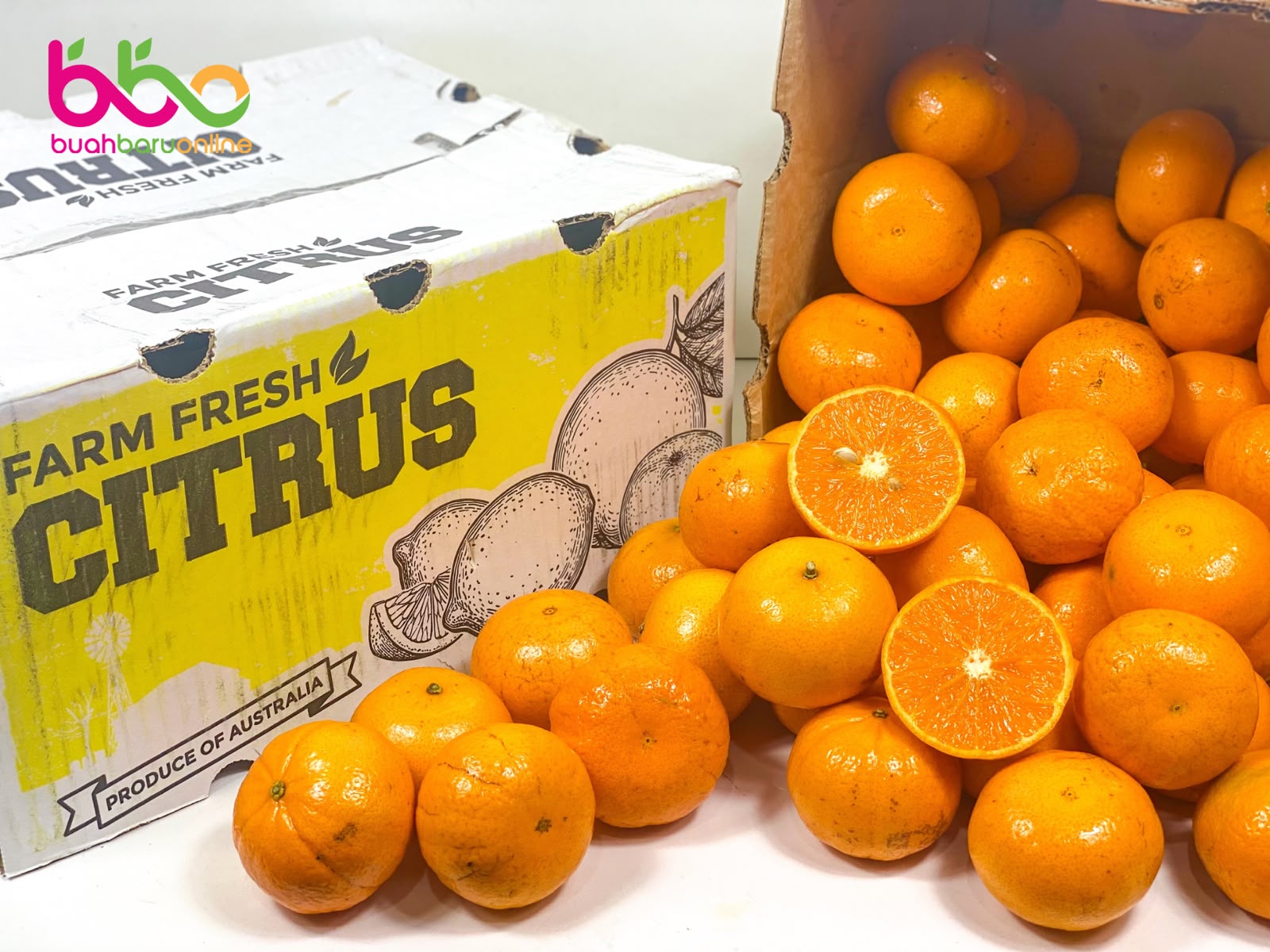 JERUK MURCOT CITRUS AUSTRALIA 