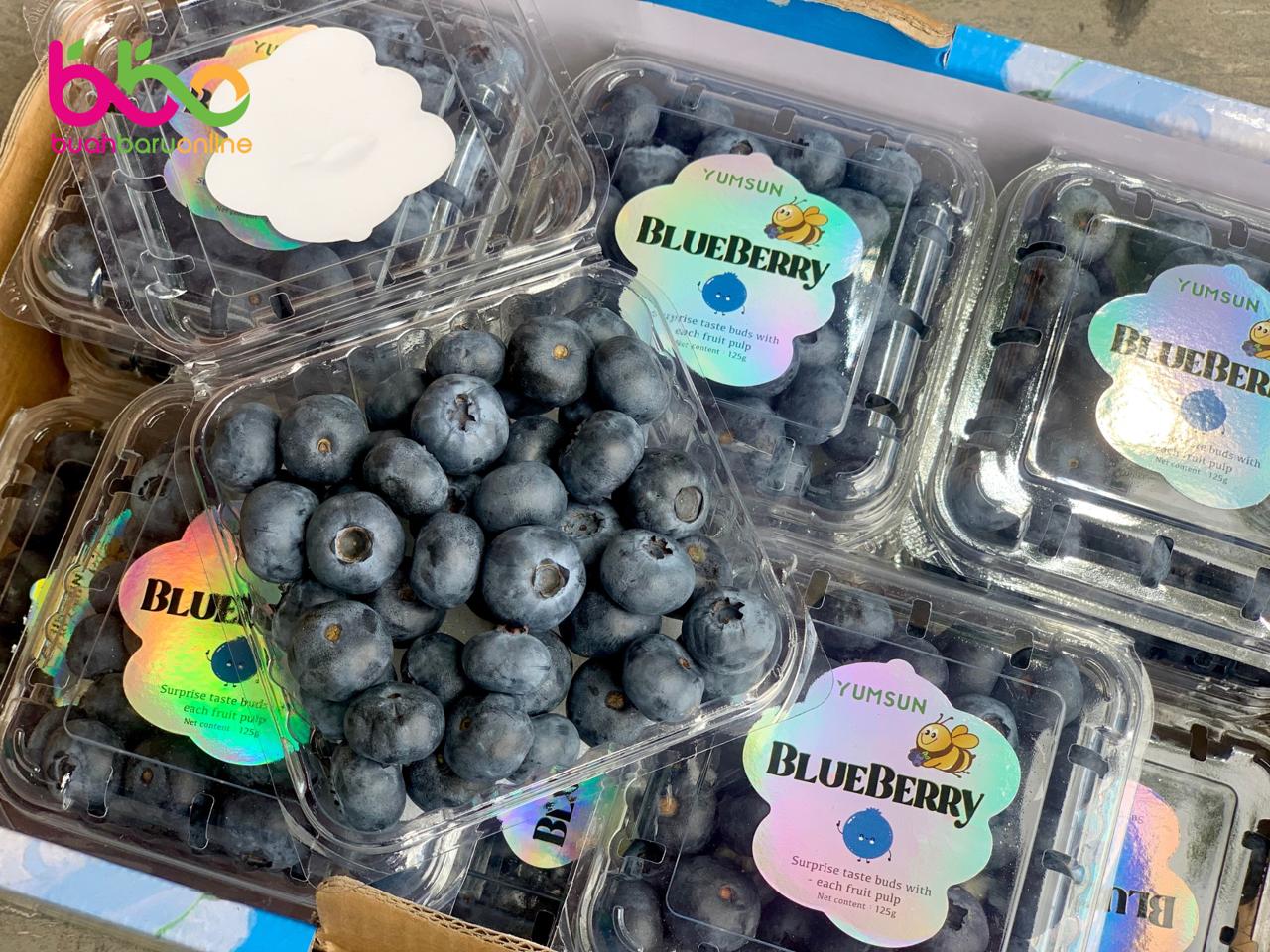 Blueberry CHINA
