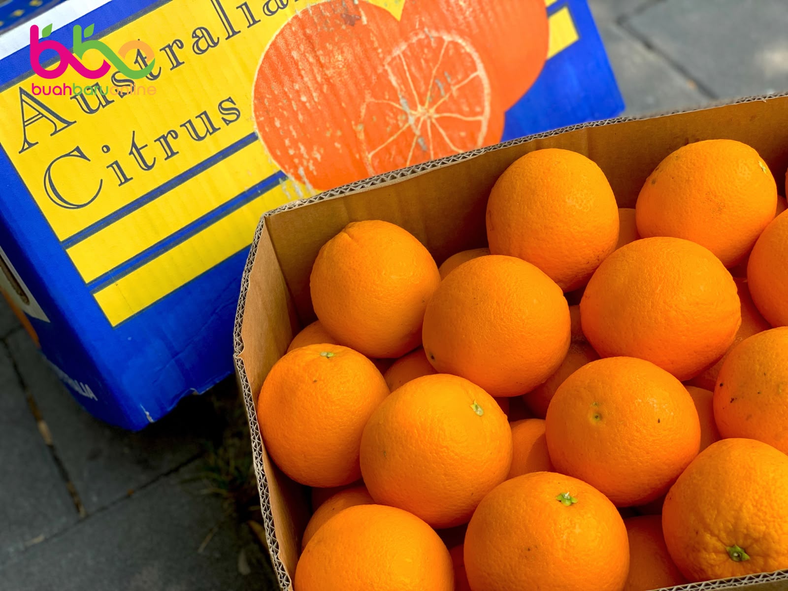 Jeruk SUNKIST Navel Australia