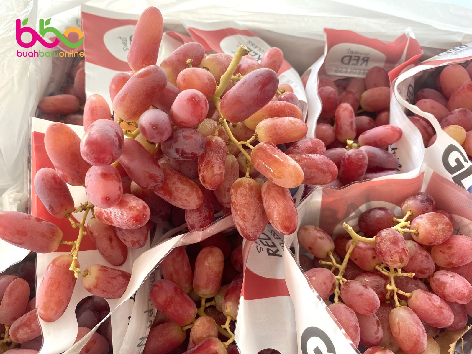Anggur RED LONG CRIMSON Seedless Australia 