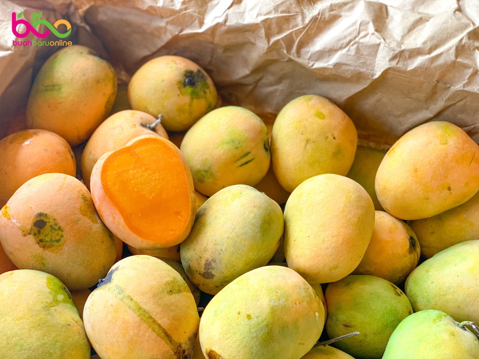 Mangga GINCU