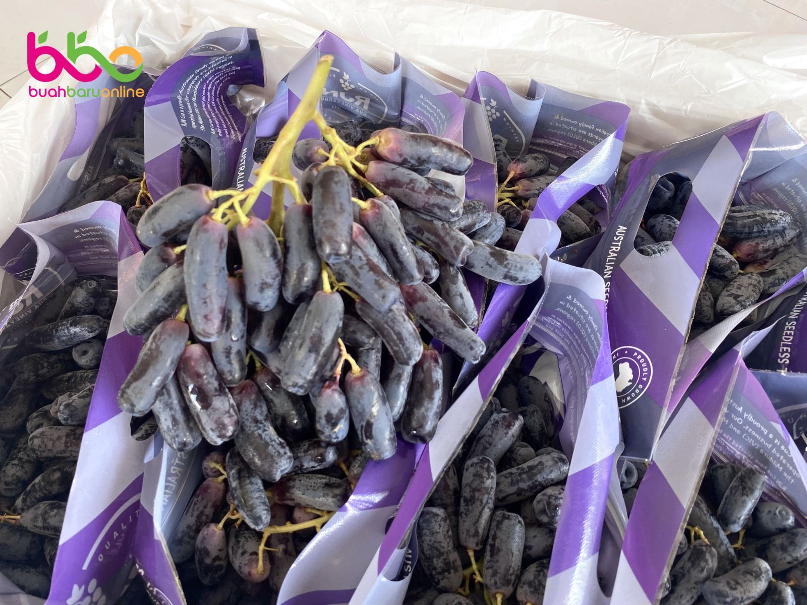 Anggur BLACK SAPPHIRE Seedless Australia 