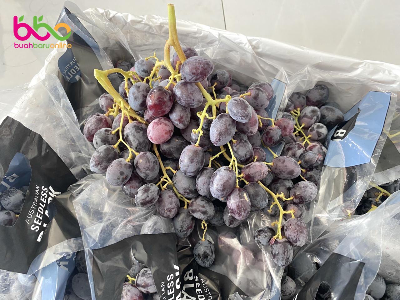 Anggur Black Autumn Seedless Australia 