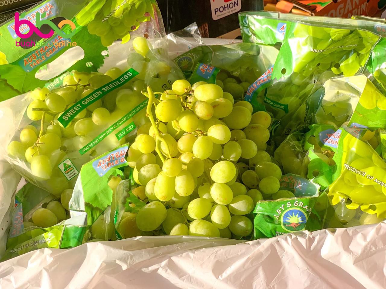 Anggur GREEN Seedless Australia
