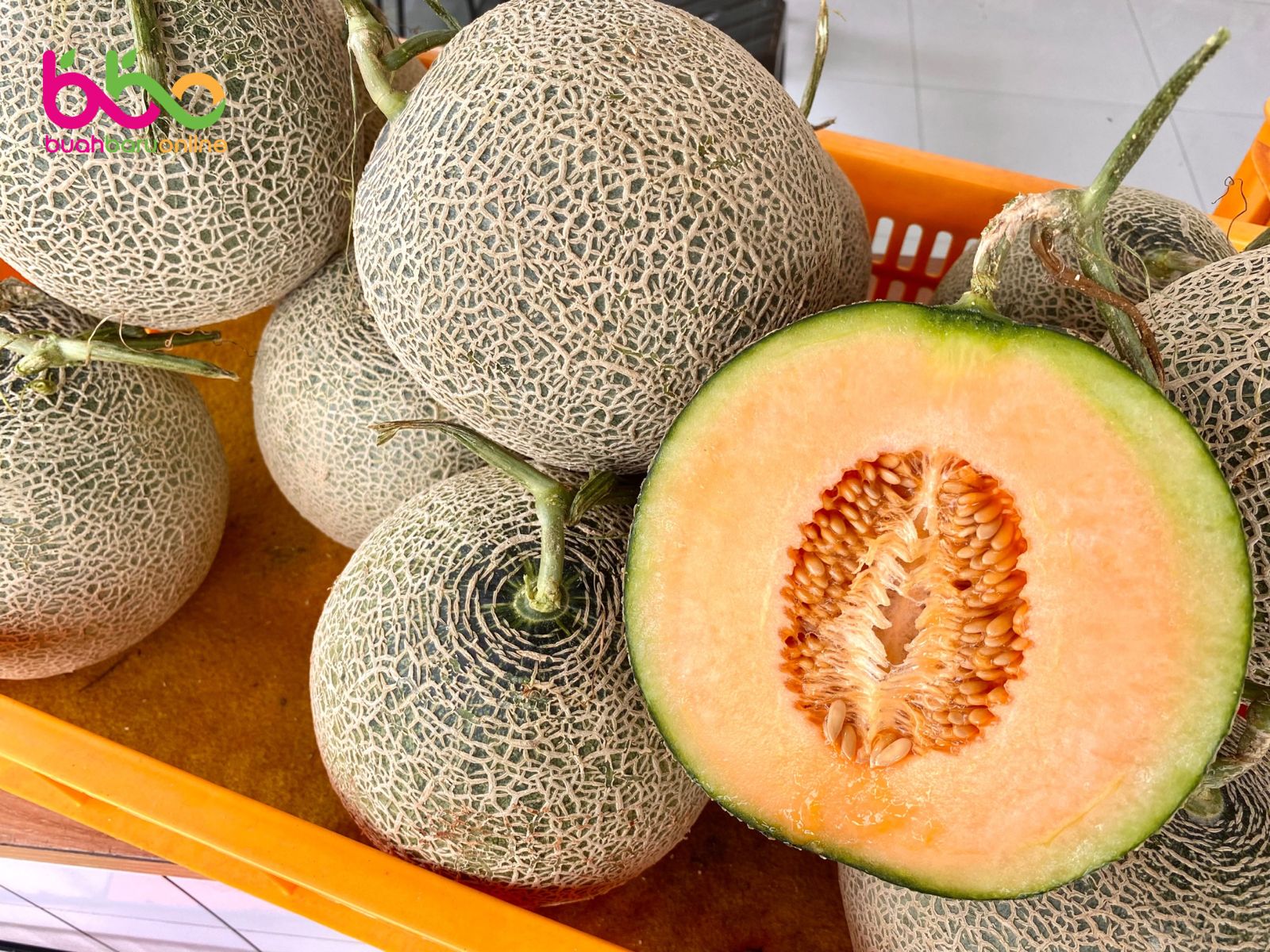 Melon Sakata