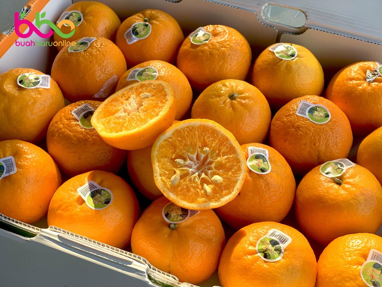 Jeruk WOGAN Mandarin 