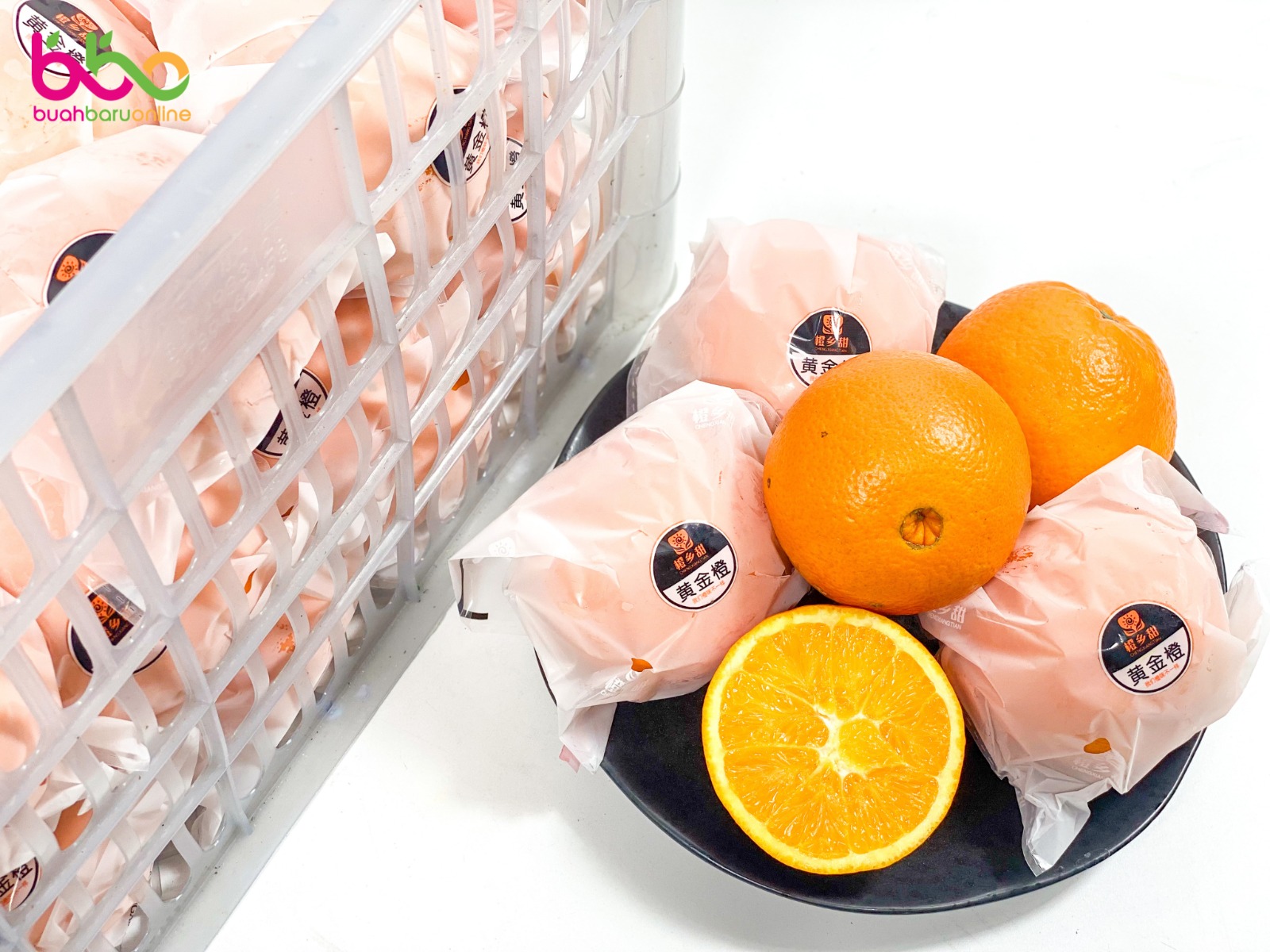 Jeruk Sunkist Navel China