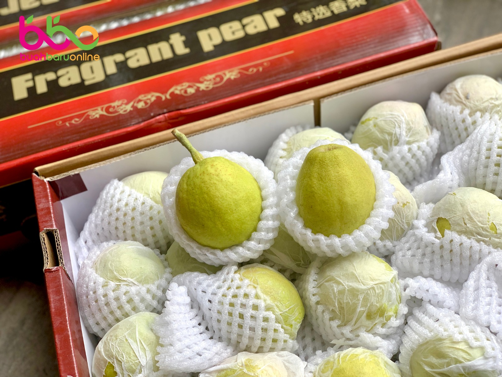 Pear Xiang Lie