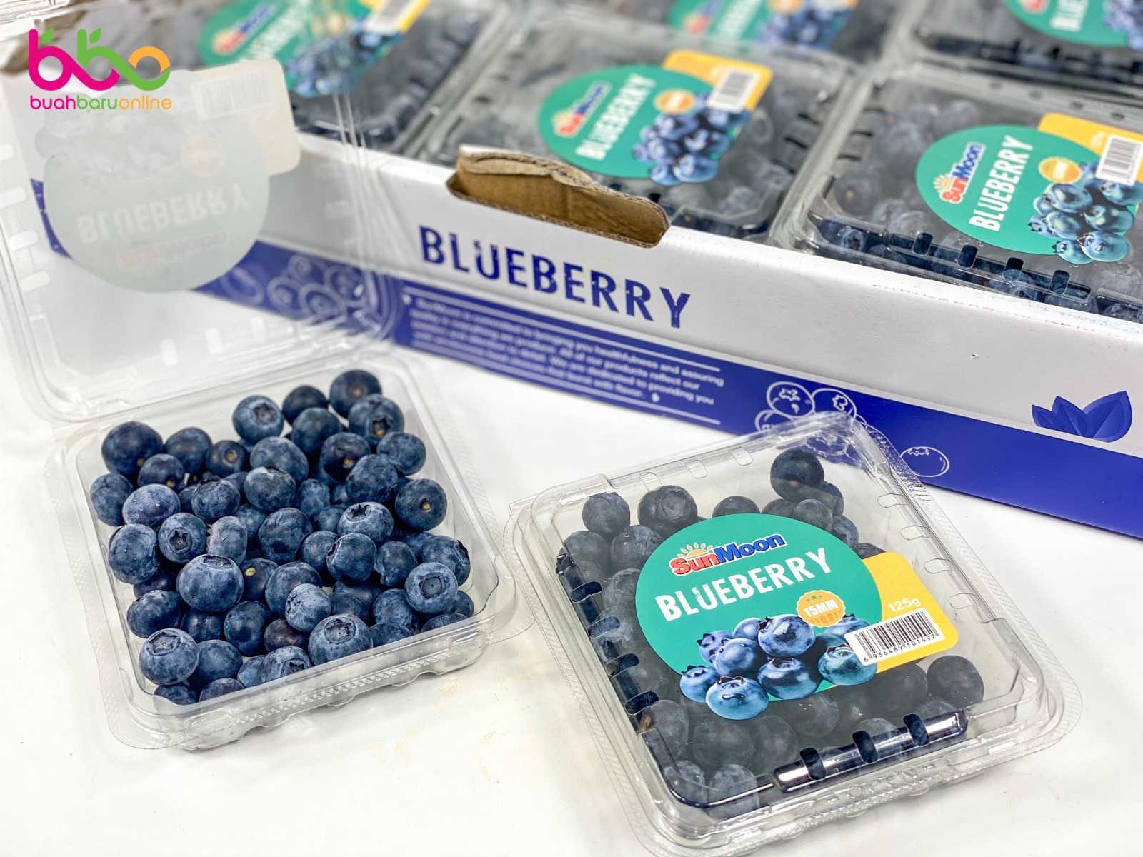 Blueberry CHINA