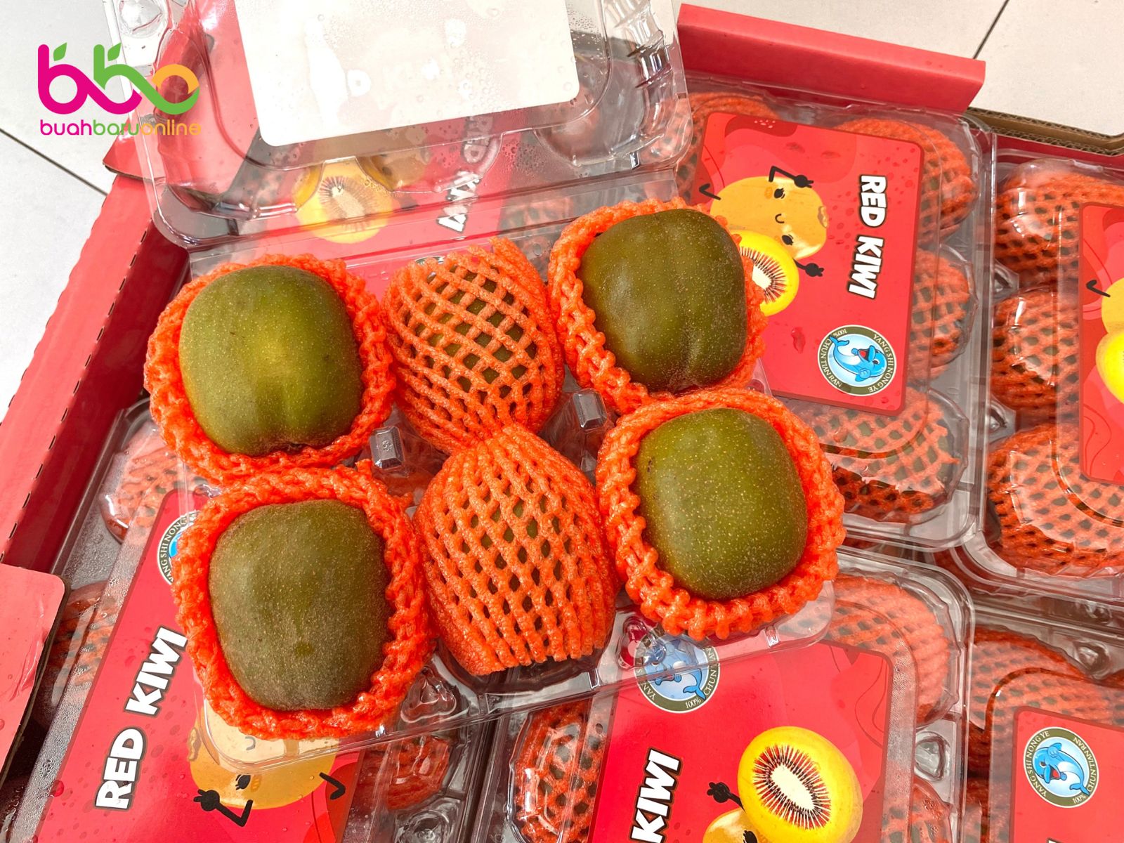KIWI RED Pack
