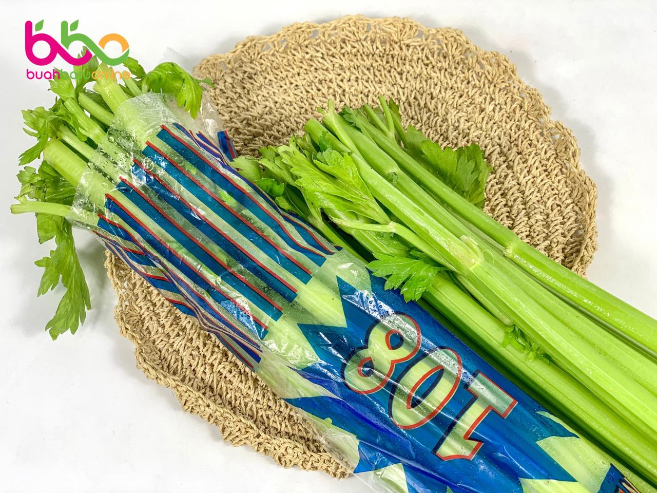 CELERY STICK 108 A