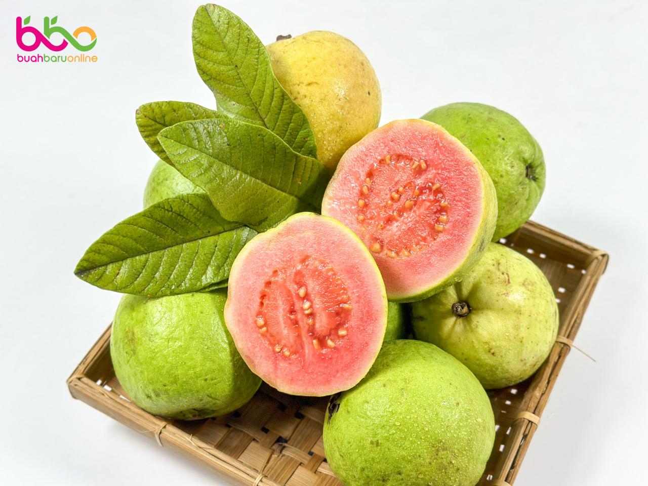Jambu Biji Merah