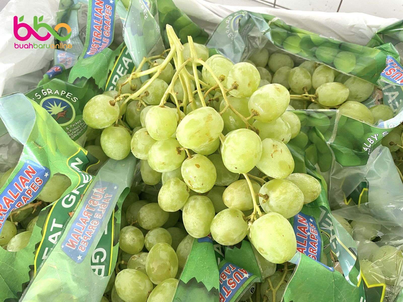 Anggur GREET GREEN Seedless Australia