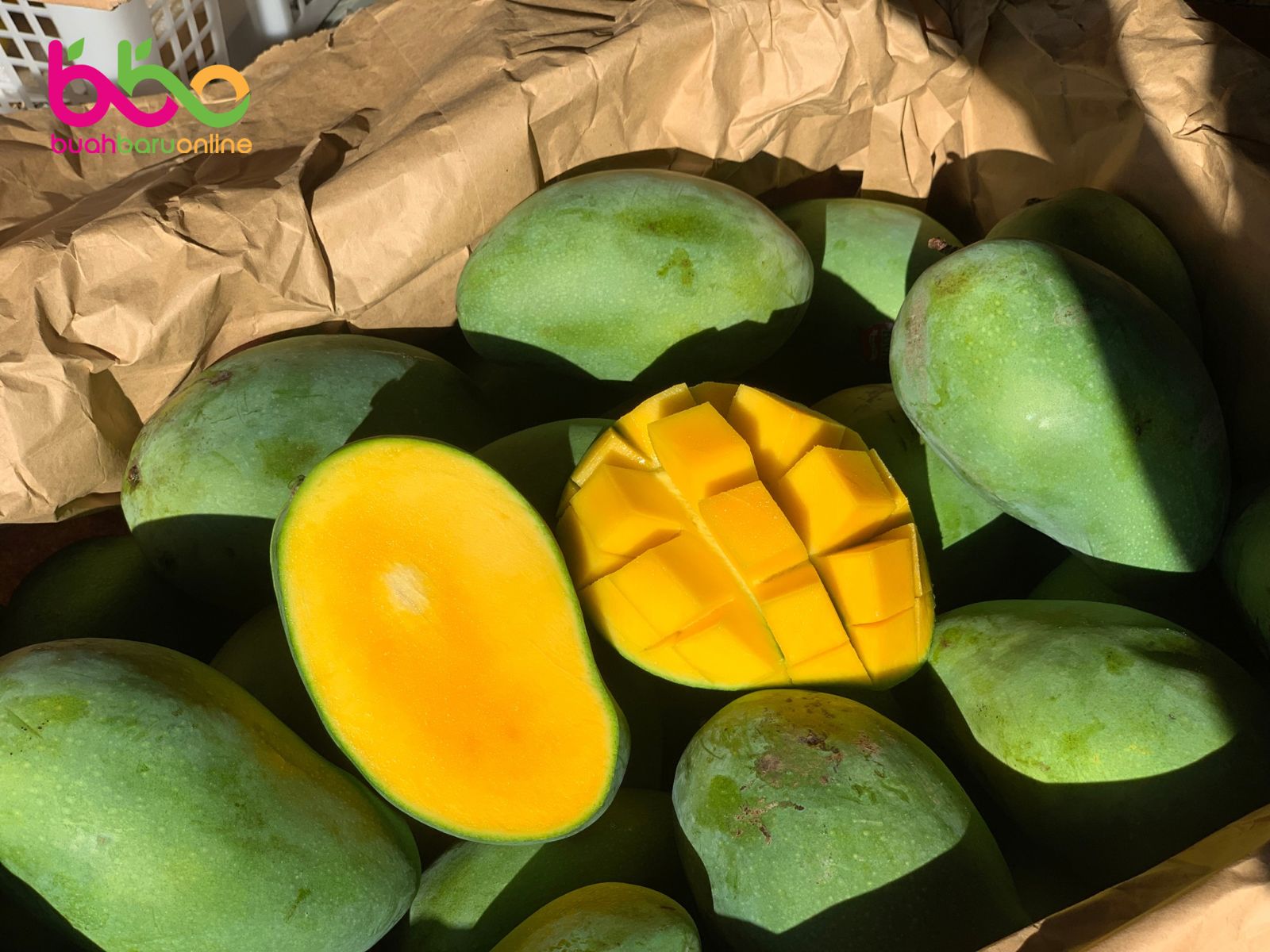 Mangga HARUMANIS