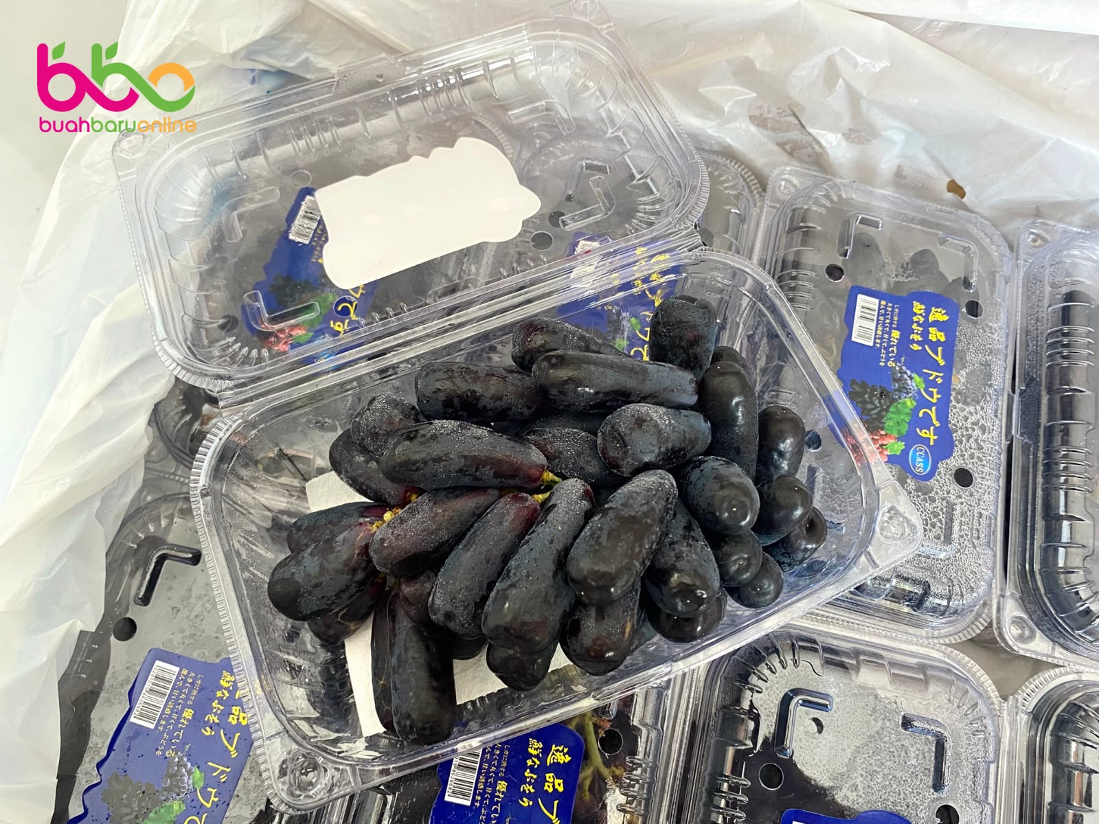 Anggur BLACK SAPPHIRE Seedless Pack