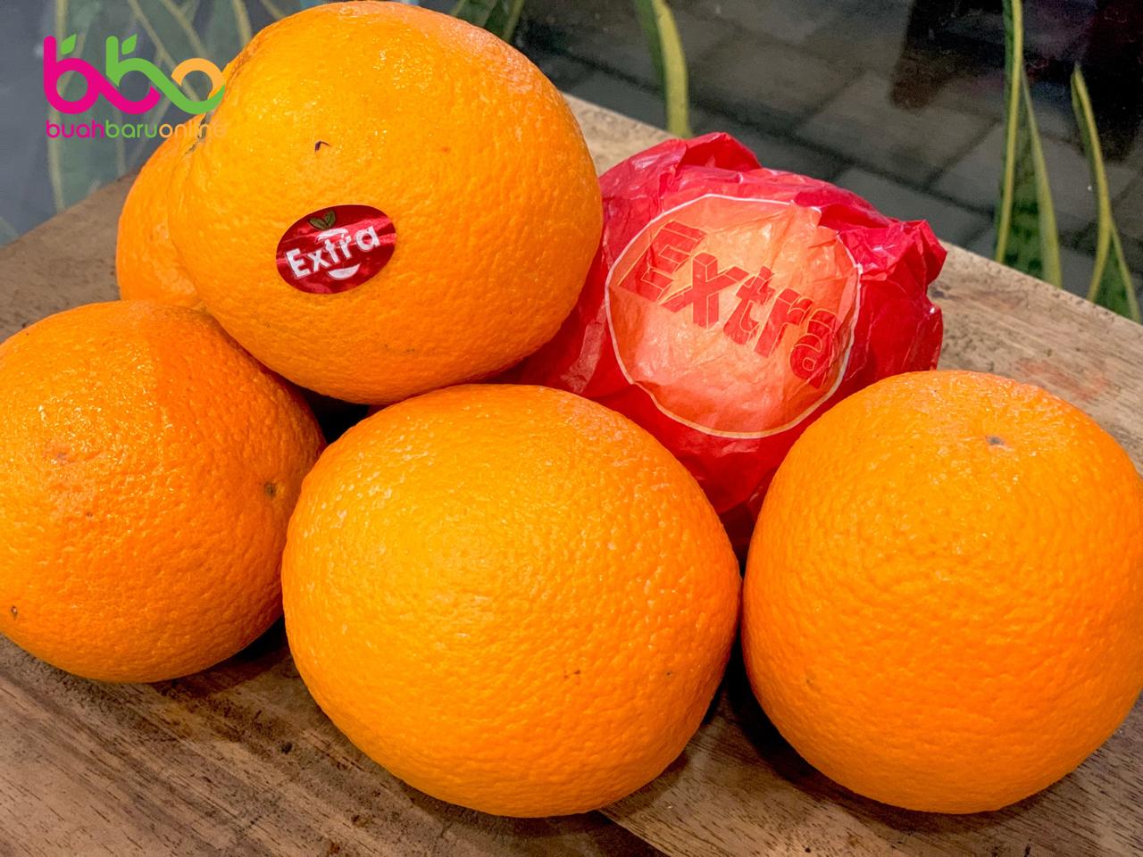 Jeruk SUNKIST Valencia Mesir