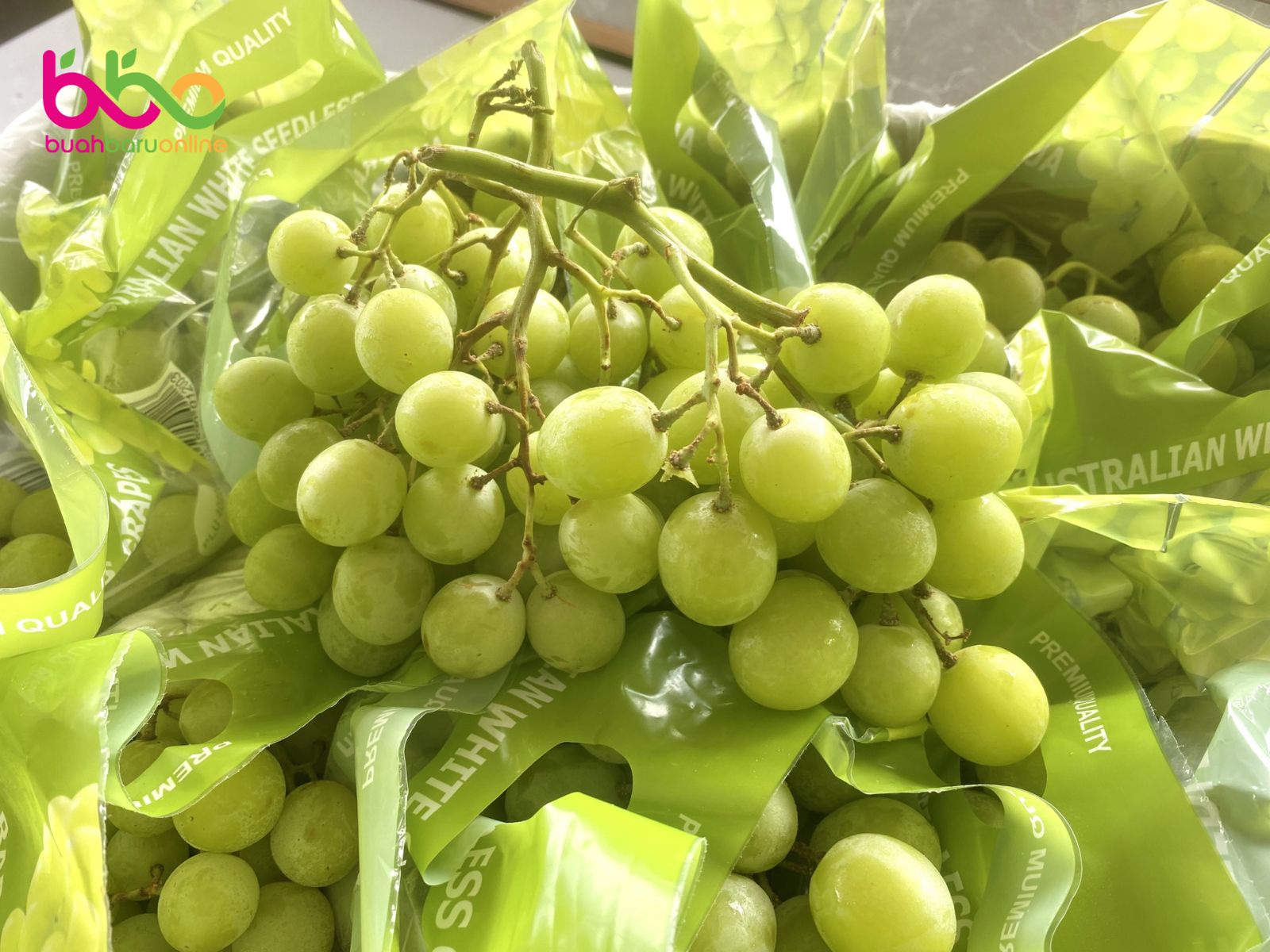 ANGGUR GREEN CRISPY SEEDLESS AUSTRALIA 